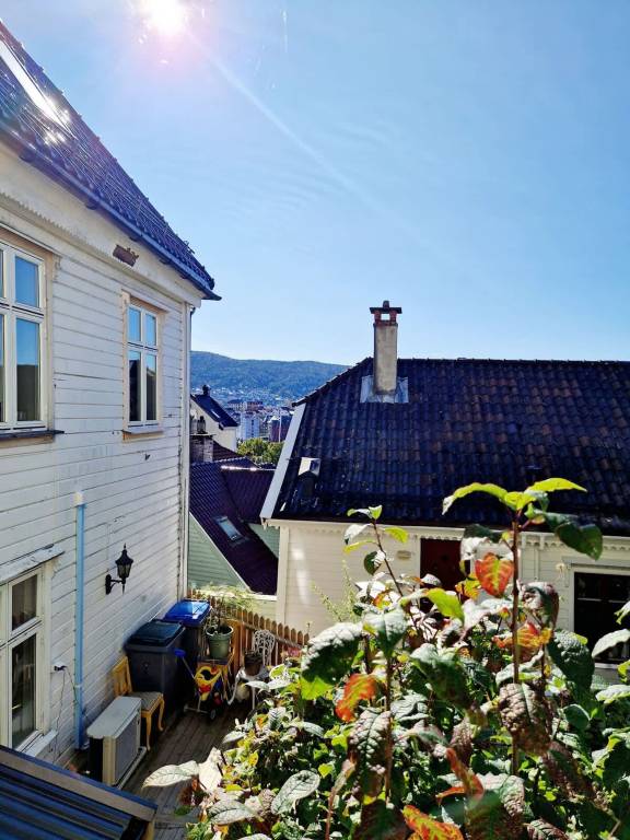 foto12
