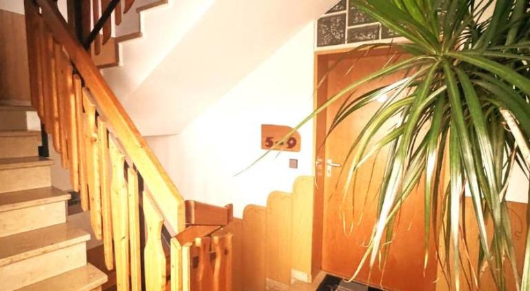 Serviced apartment with patio & garden | Pets are welcome — photo 4
