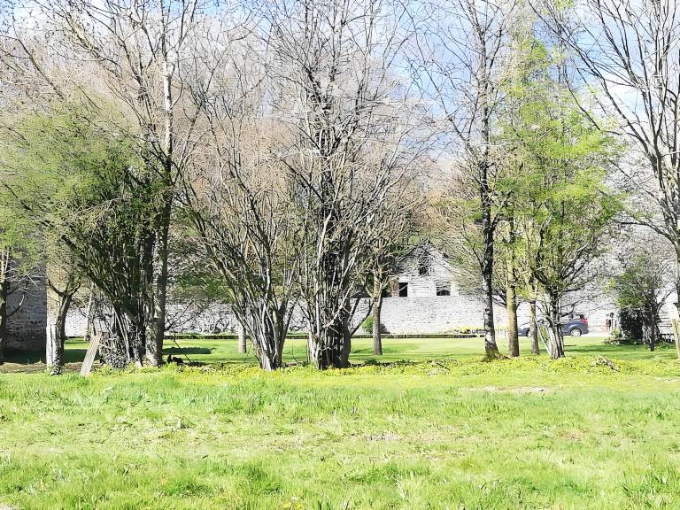 Children-friendly house with garden, terrace & fast internet | Dogs allowed — photo 3