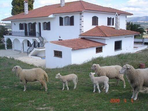 Apartamento Alcobaça