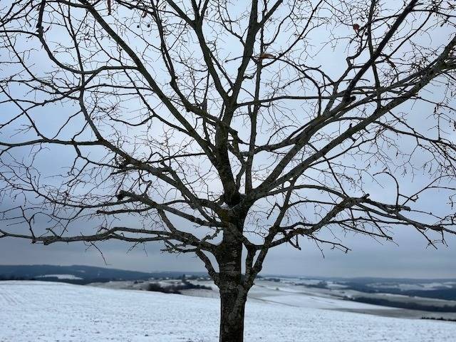 foto3