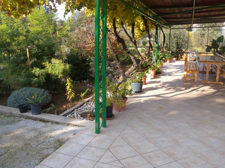 foto5