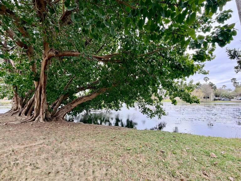 Children-friendly rental apartment | River view | Pets allowed — photo 5