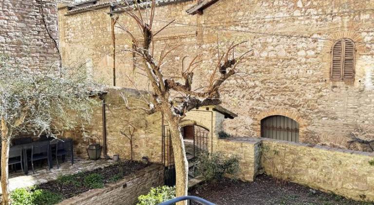 Il Cortile di Assisi — photo 5