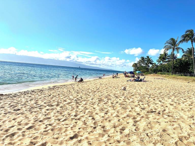 Cabin Lahaina
