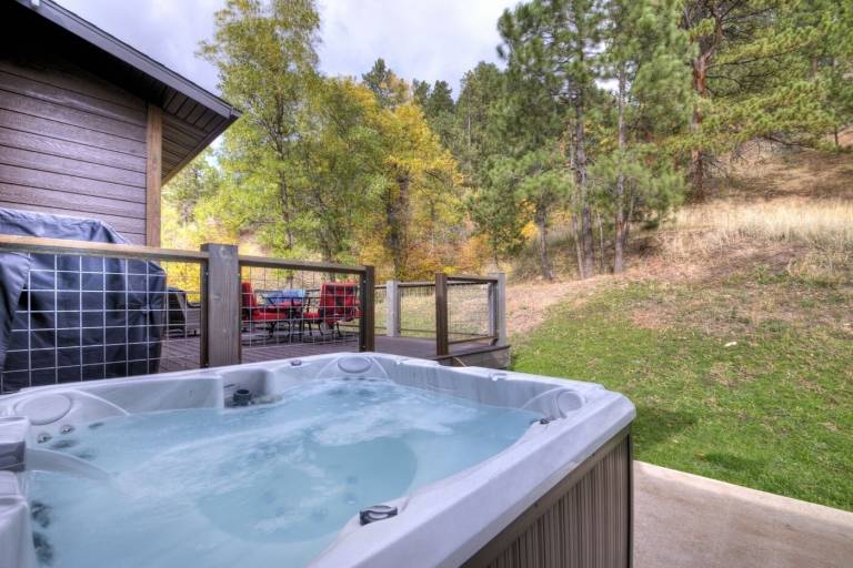 Cabin  Sturgis