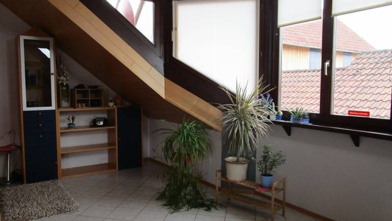 foto21
