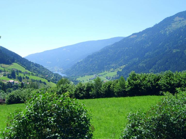 foto1