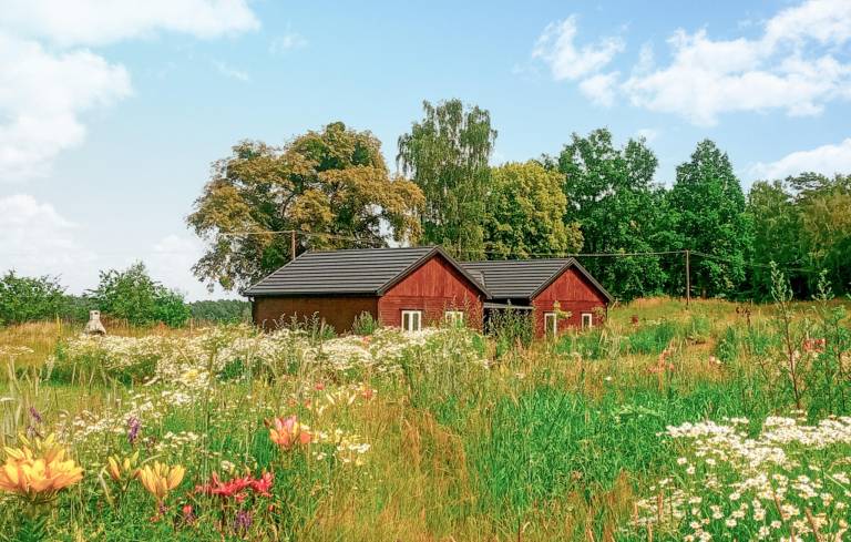 Apartament Tleń