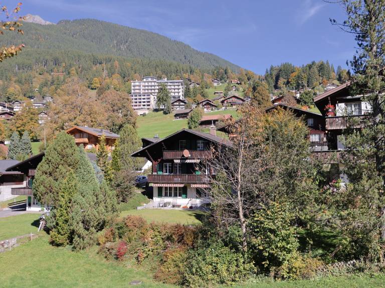 Ferienwohnung Meiringen