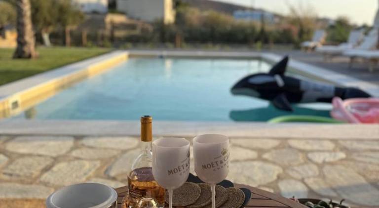 Villa with private pool, barbeque & patio | Dogs allowed in Syros