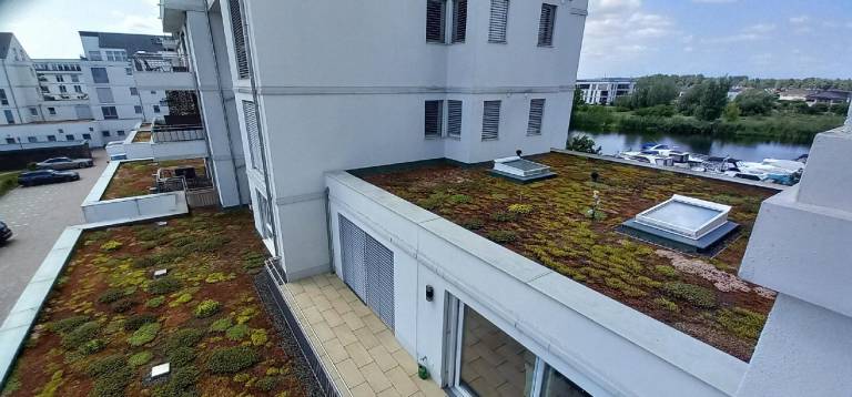 foto16