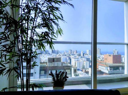 foto9