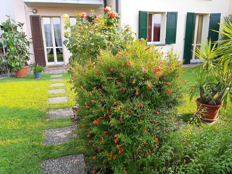 Appartamento Rodengo-saiano