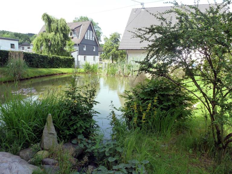 foto29
