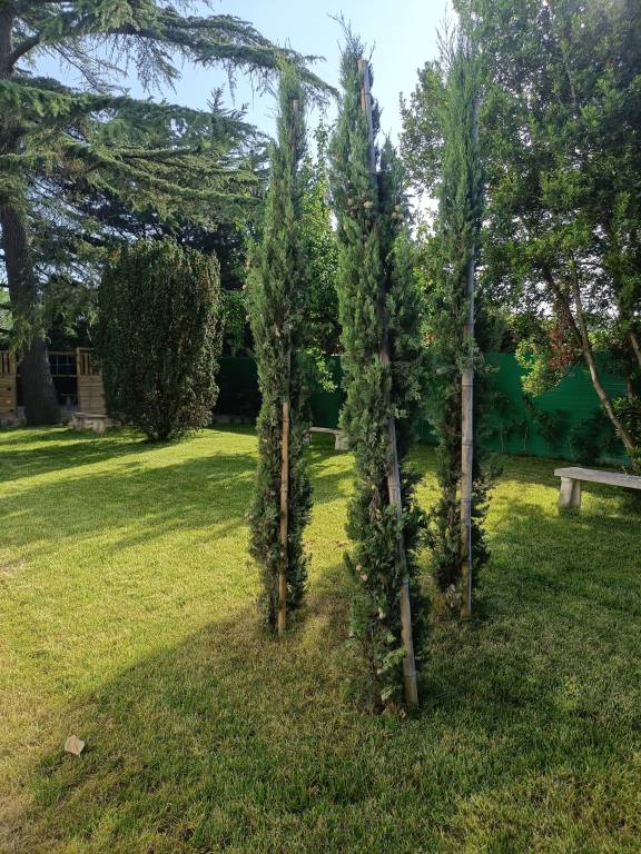 foto26