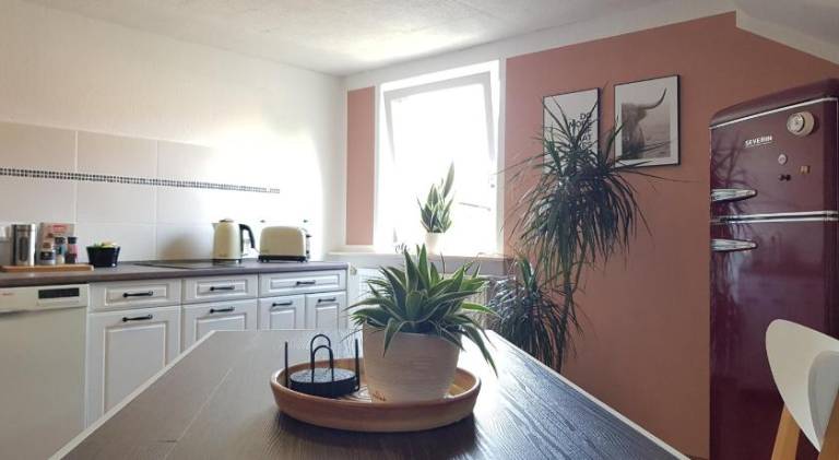 Holiday apartment | Pets are welcome — photo 2
