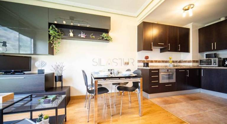 Pleasant holiday apartment | Pet-friendly in Oviedo