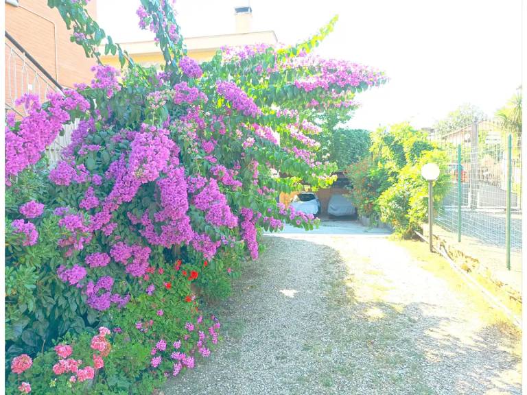 foto11