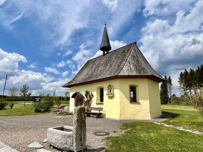 foto43