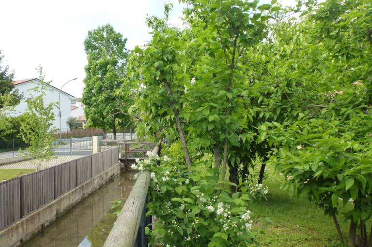 foto9