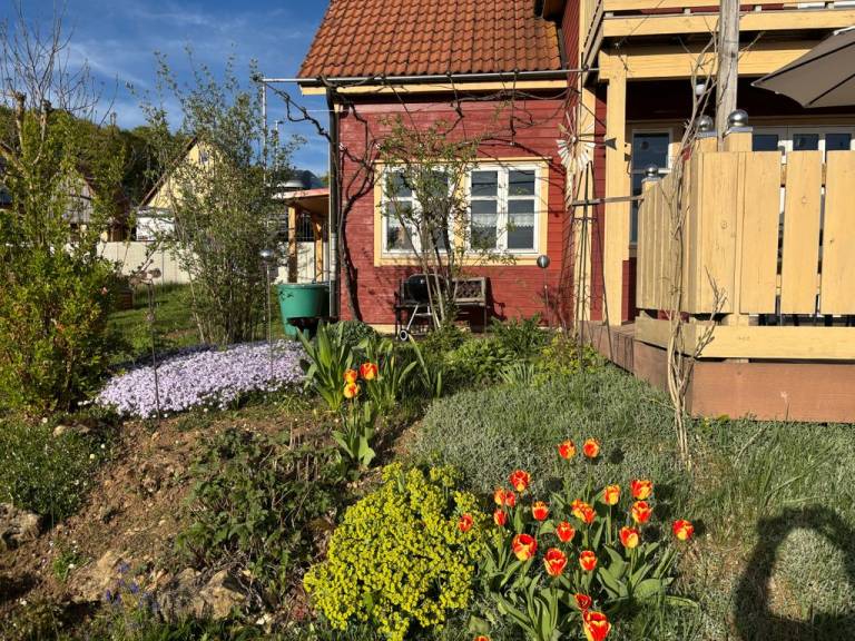 foto44
