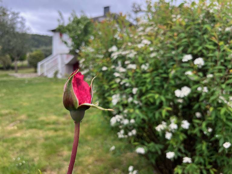 foto42
