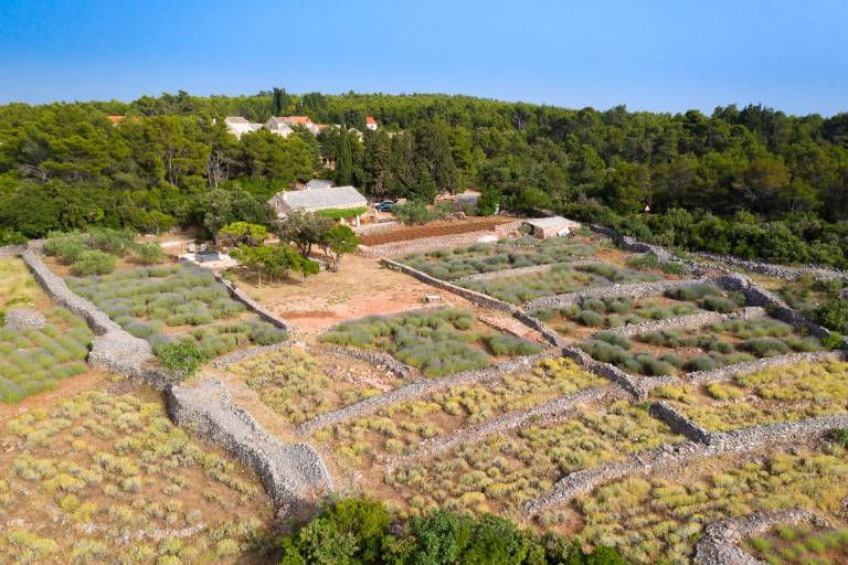 Four-bedroom house with terrace and sea view Humac, Hvar (K-8805) — photo 2