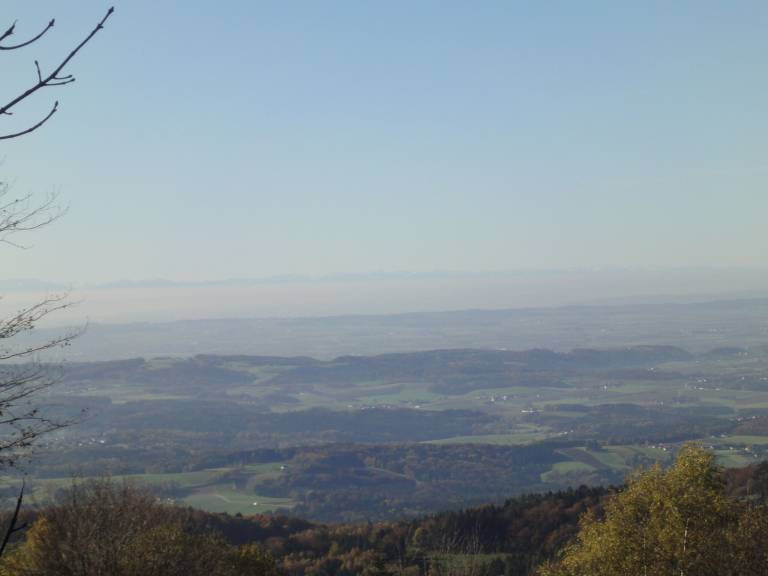 foto31