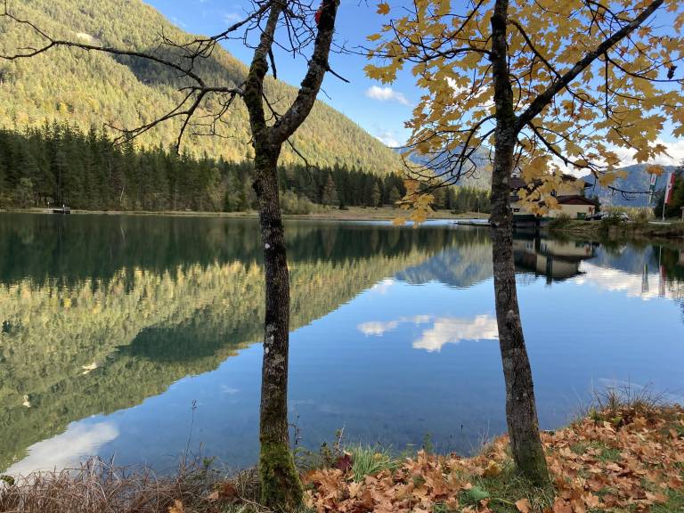 foto28