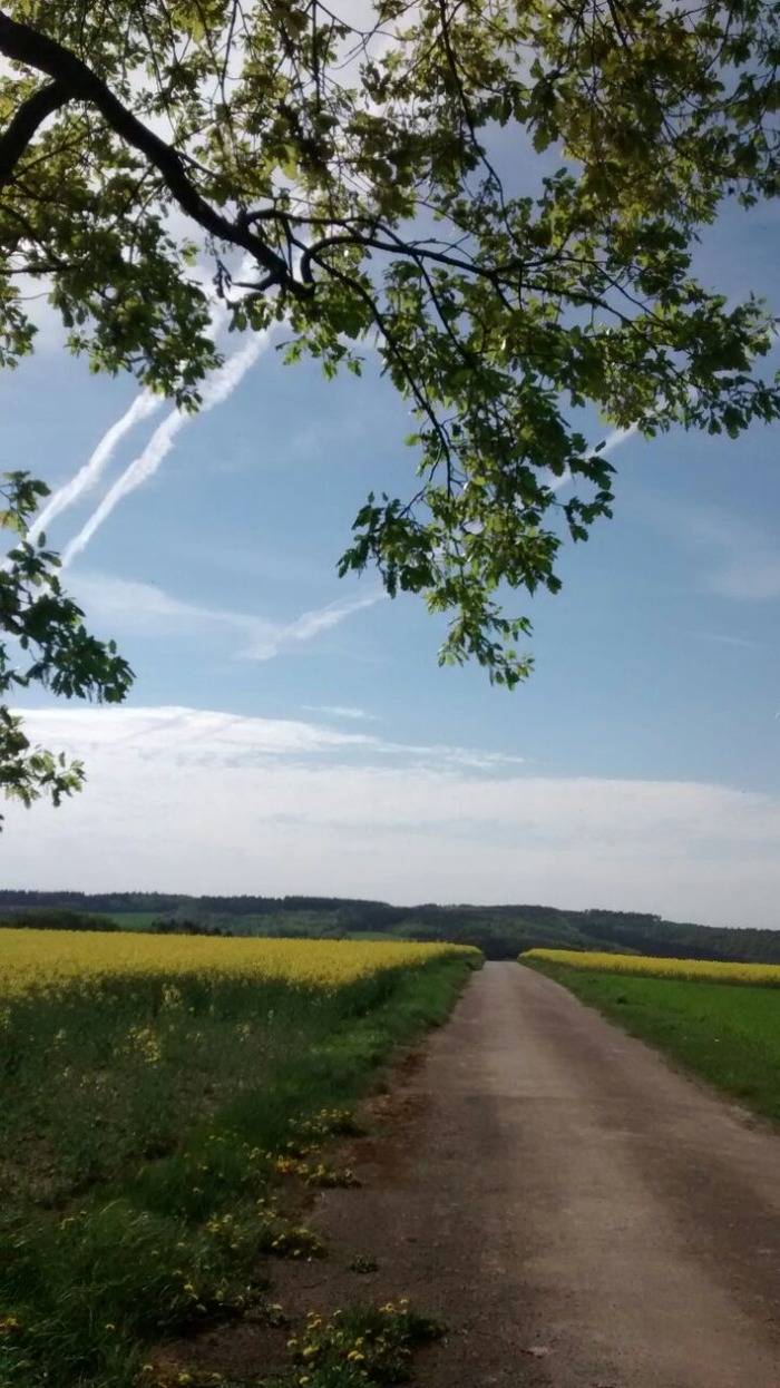 foto14