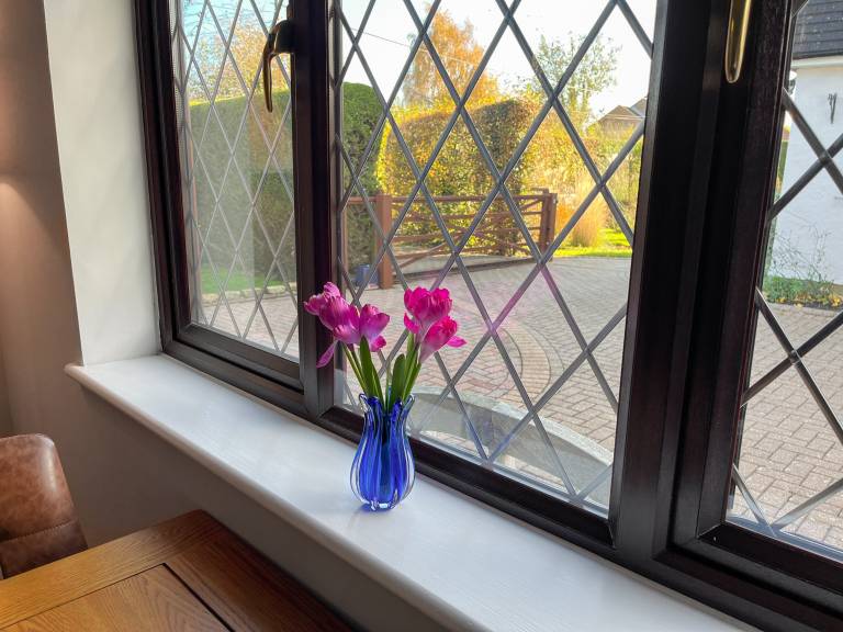 foto26