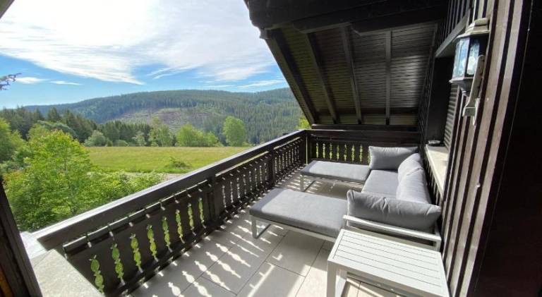 Spacious house with pool | Pets allowed — photo 3
