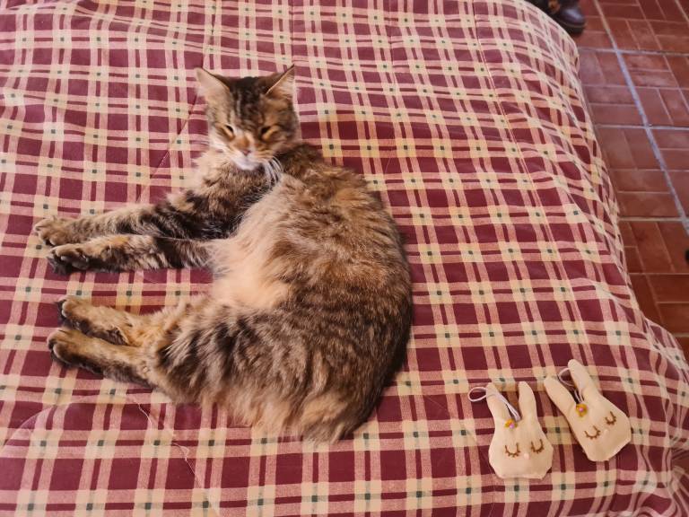 Hostel Rustica Huacalera — photo 4