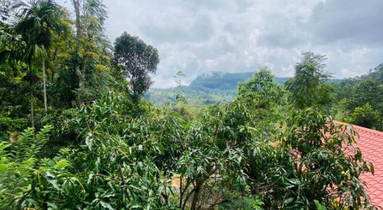 Nice View guest house & restaurant in Ella