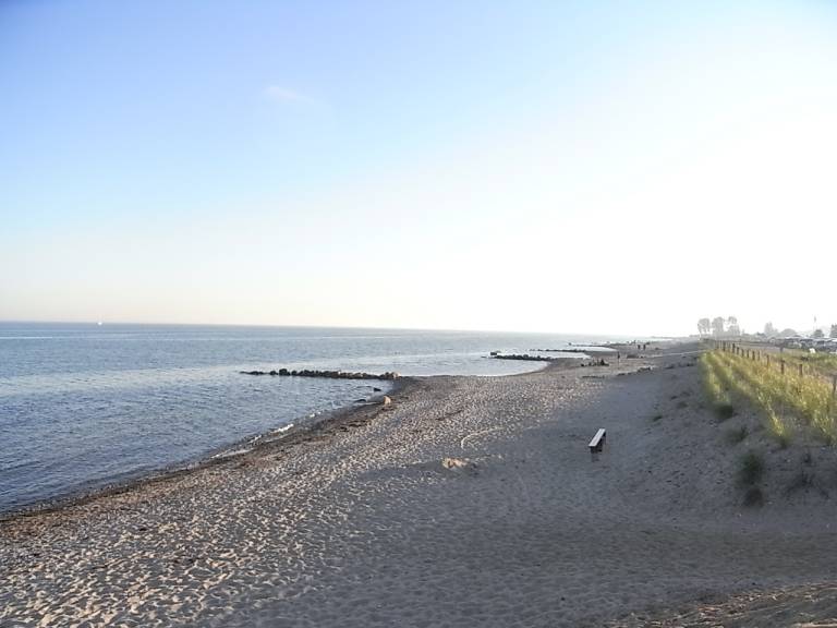 foto6