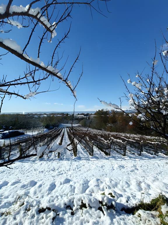 foto47