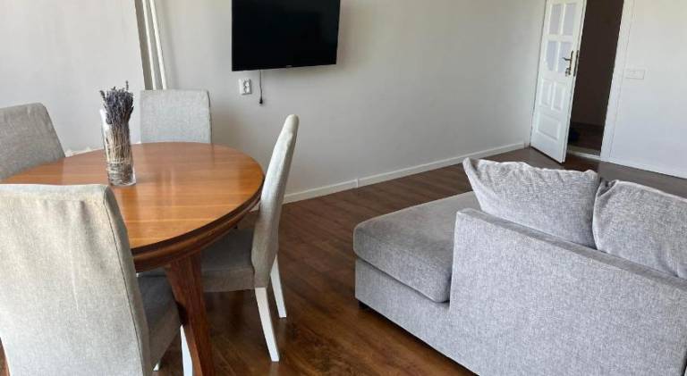 Rental apartment with terrace & grill — photo 4