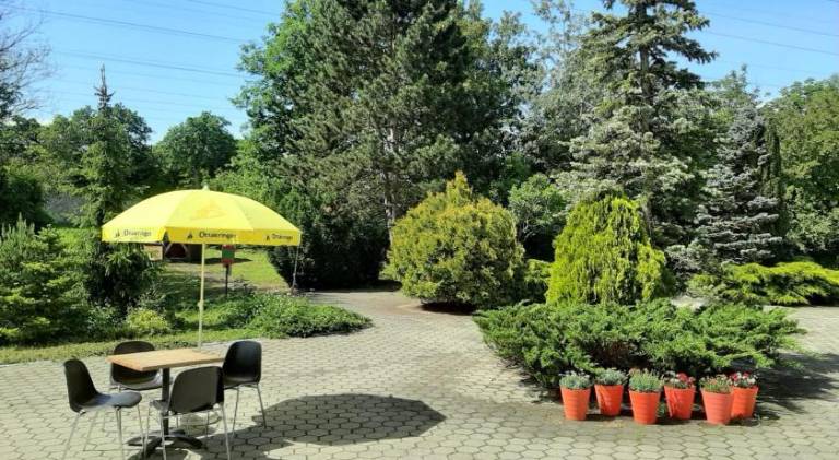 foto36