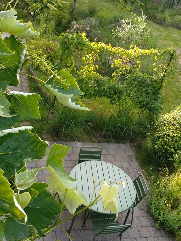 foto14
