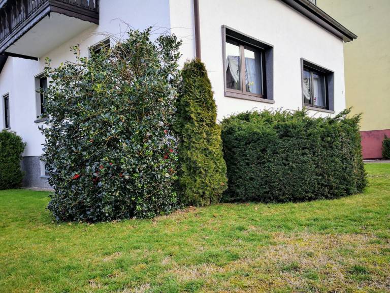 foto2