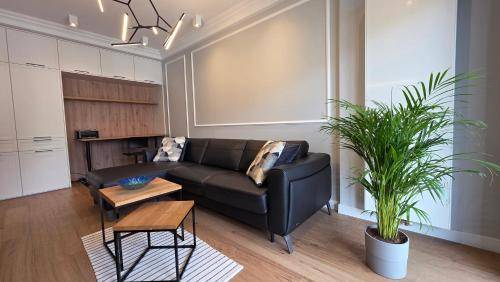 Apartament Przedmieście Warszawskie