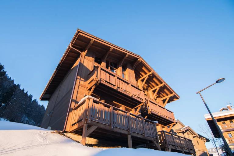 Chalet Praz-sur-Arly