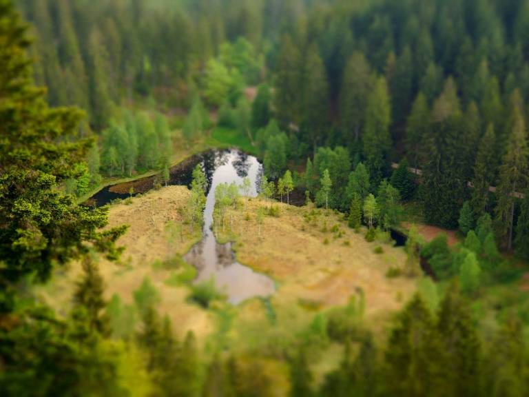 foto49