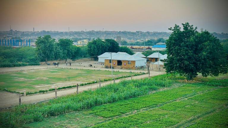 The Farm Stay Jaisalmer in Jaisalmer