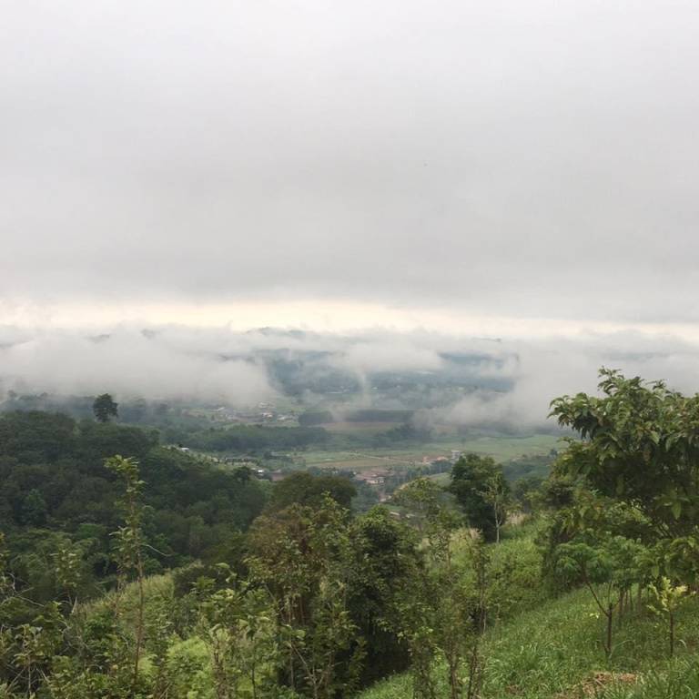 Khaokho Pimphupha Farmstay - Pimpha Hut พิมฟ้า — photo 5