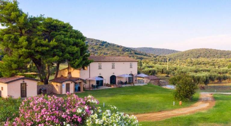 Apartment with 1 room for 5 persons in Orbetello