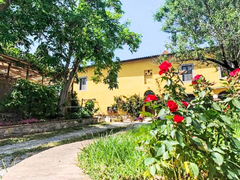 Holiday apartment with terrace, pool & garden | Nature view | Pet-friendly — photo 4