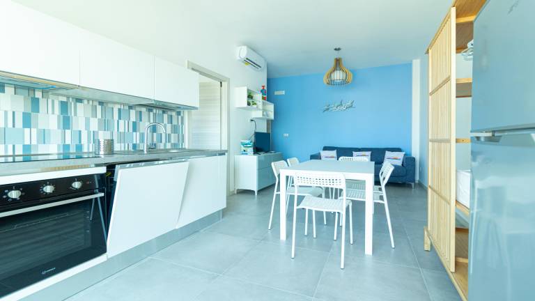 Apartment with terrace — photo 5