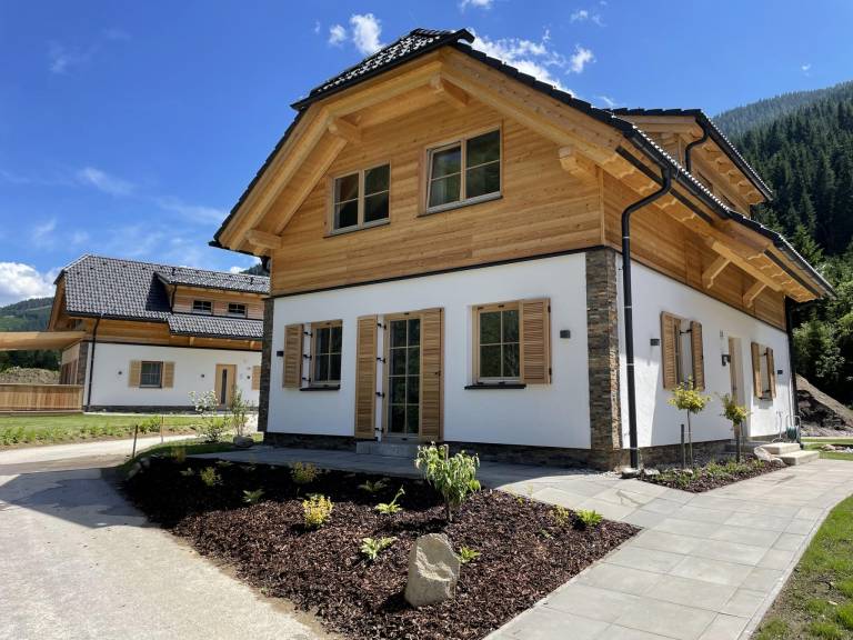 Chalet  Planneralm